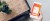 roos-header-image.jpg